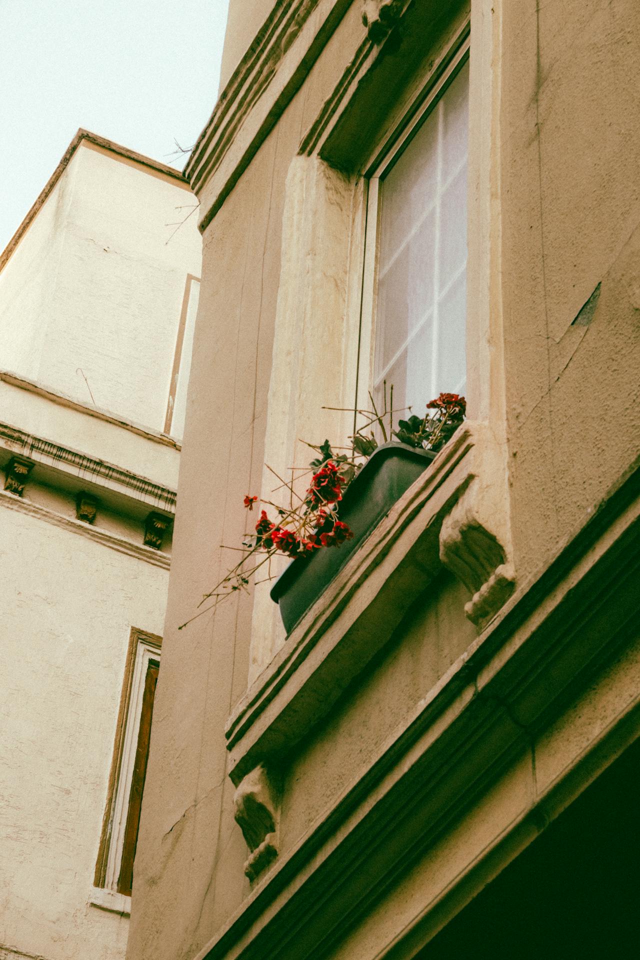 mészkő párkány tisztítása, műemlék